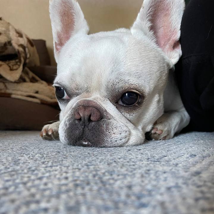 D9e9b5a1 71ec 49b7 b158 6932486f8310 1753484283402