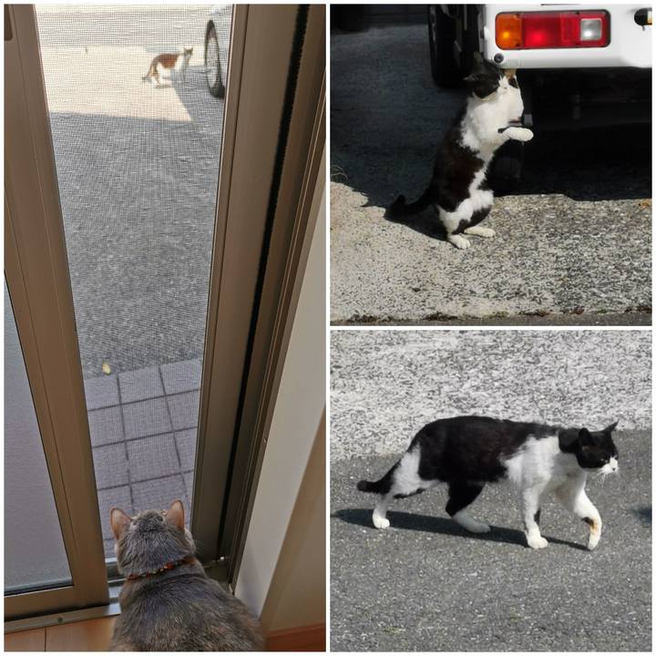 D9e9ba32 f252 45a5 8b95 ae157bd97df8 1650428143356