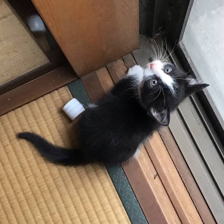 D9e9cc96 42e8 41e1 b2fd c91c25427866 1623569385869