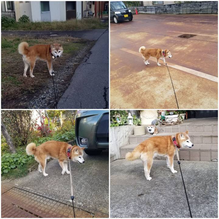 D9ea068c 4d4a 4cd5 9149 e4403627def8 1762928428723