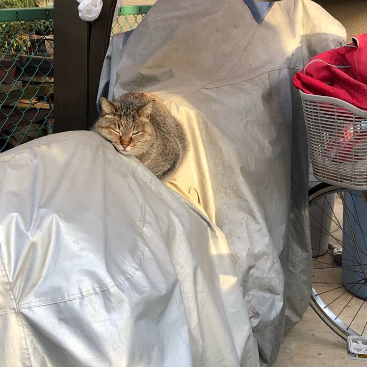 D9ea56fc 27cc 464b b244 8df469ebfa38 1518091091055