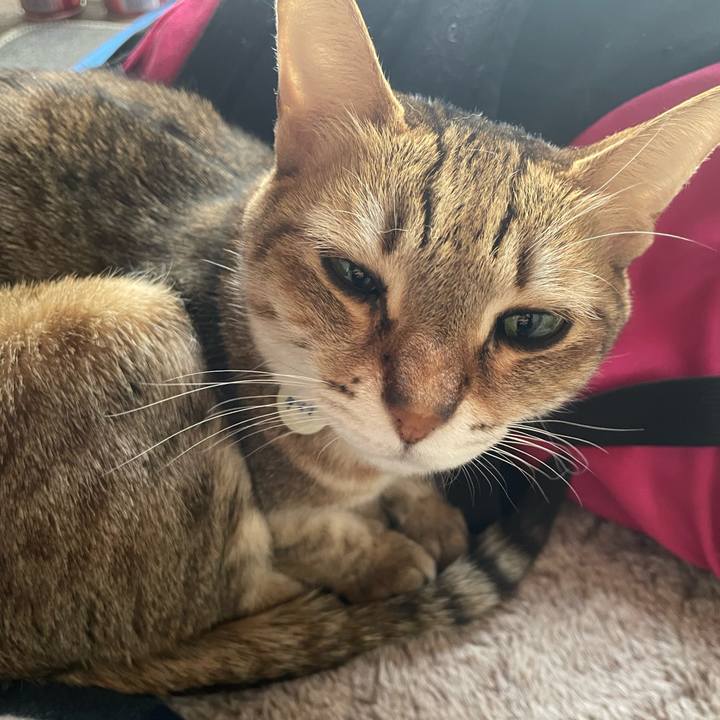 D9ea73c7 d2bf 4658 a27b a834aec1a6f0 1704769920283