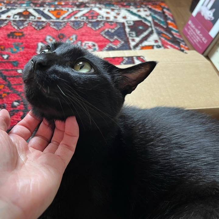 D9eac89f 9803 41cf af7b 3229c0f8e1f9 1692145240736