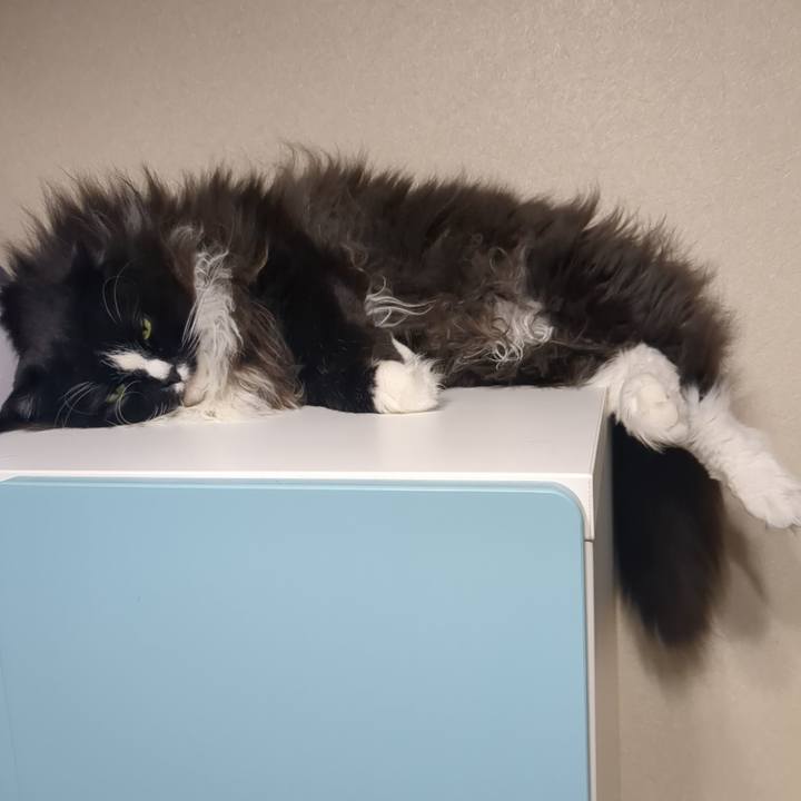 D9eac8f7 e3c0 47cf b92a 107a488b4be0 1762679991916