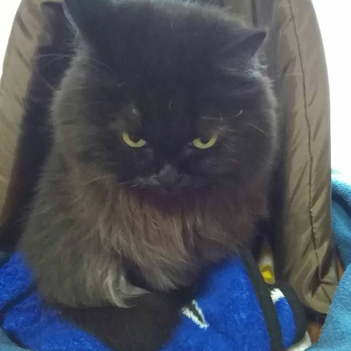 D9eae4f9 5c57 446d 92a1 0c7bbda6d4dc 1512650808111