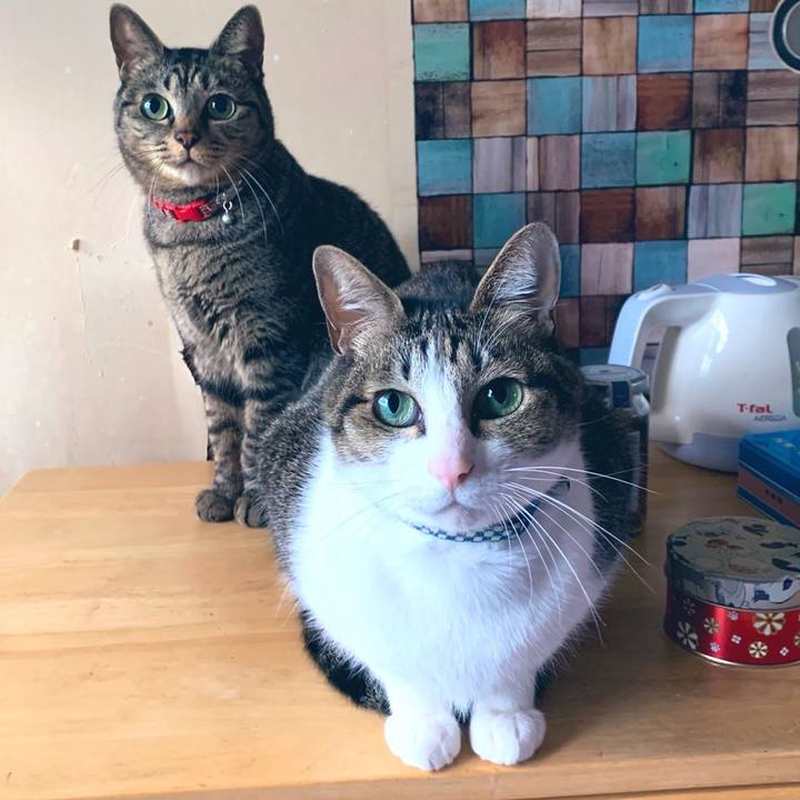 D9eaf91a abe8 4cbb 90f9 68b26928674f 1578539871704