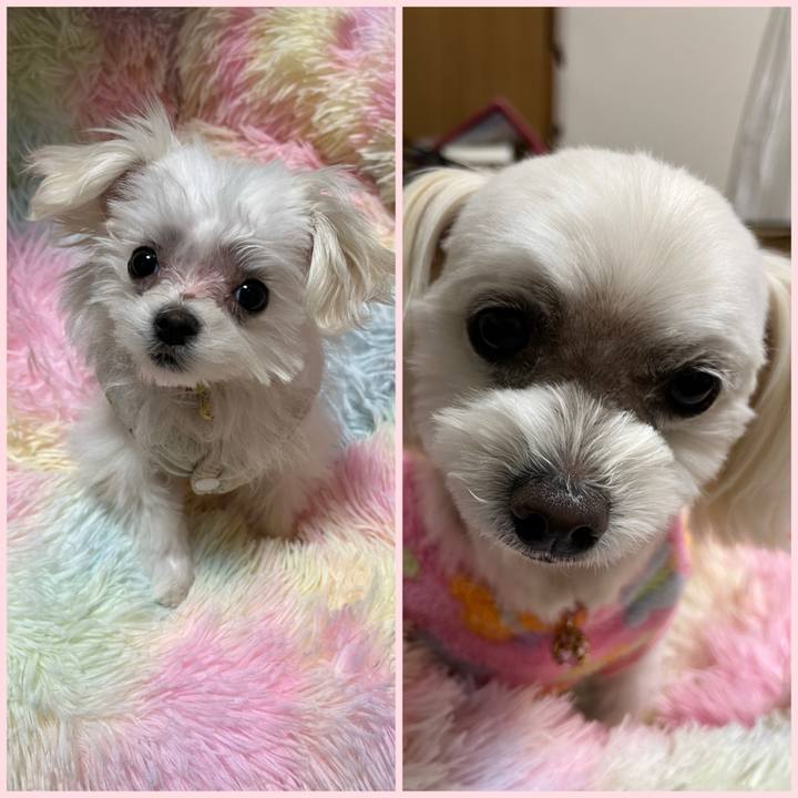 D9eb0718 3ca1 41b6 bb38 a31733ae01f1 1703590798203