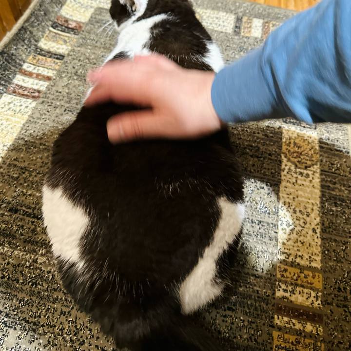 D9eb0e35 83ab 455b bbcf bfa1e52ef8cc 1683507623024