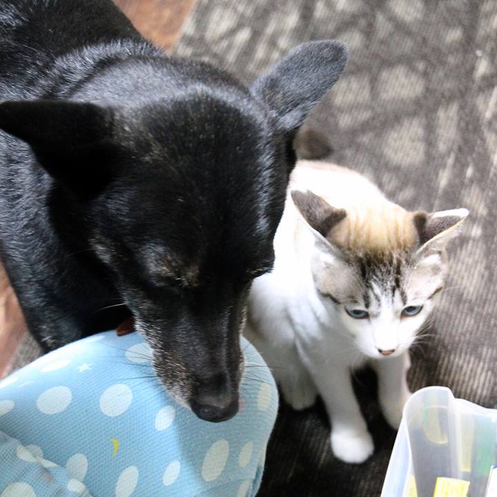 D9eb5072 66e1 4980 a07d 8e0899025223 1645486438728