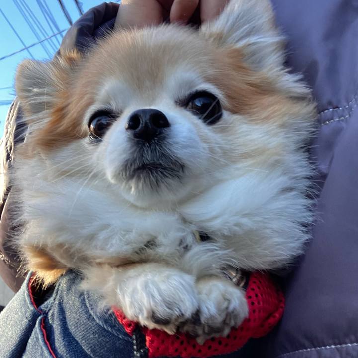 D9eb58a2 3305 47a2 b9bf 6b6414e7f8d5 1768014217488