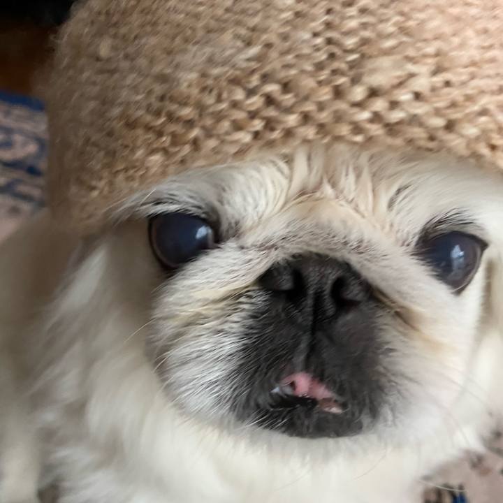 D9eb59d9 58e9 42fe 90b5 931e97172657 1611298004865