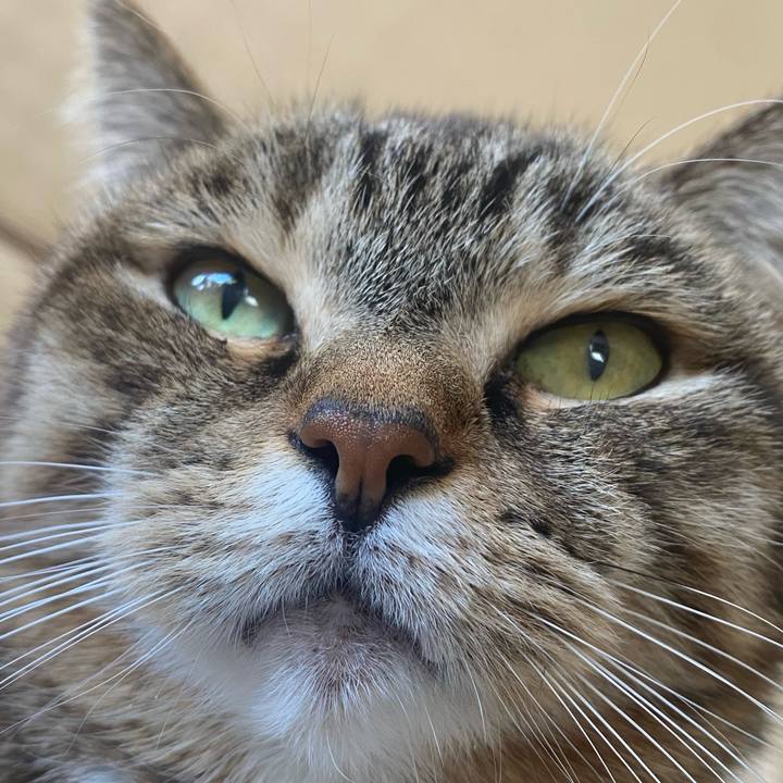 D9eb5fbe dad3 48c2 bc77 8ffd37b45e6c 1738985395970