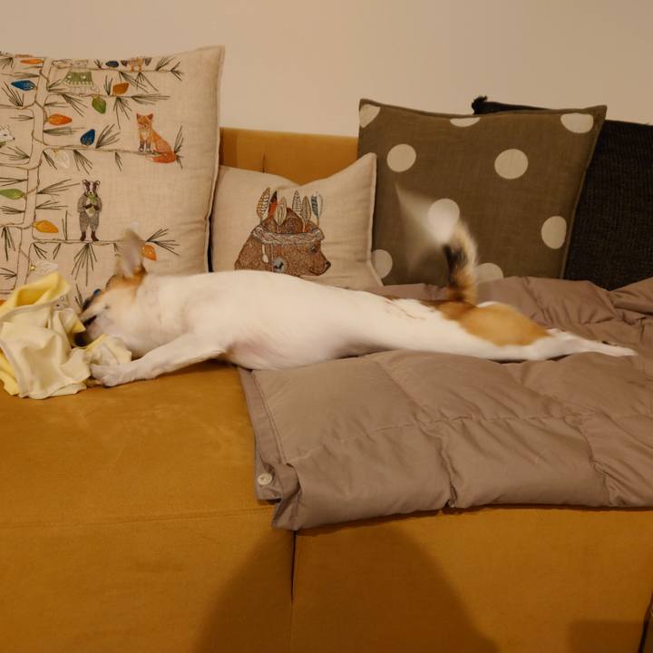 D9eb676a 34f5 4a2e b8f3 bd0b43625962 1715161478764