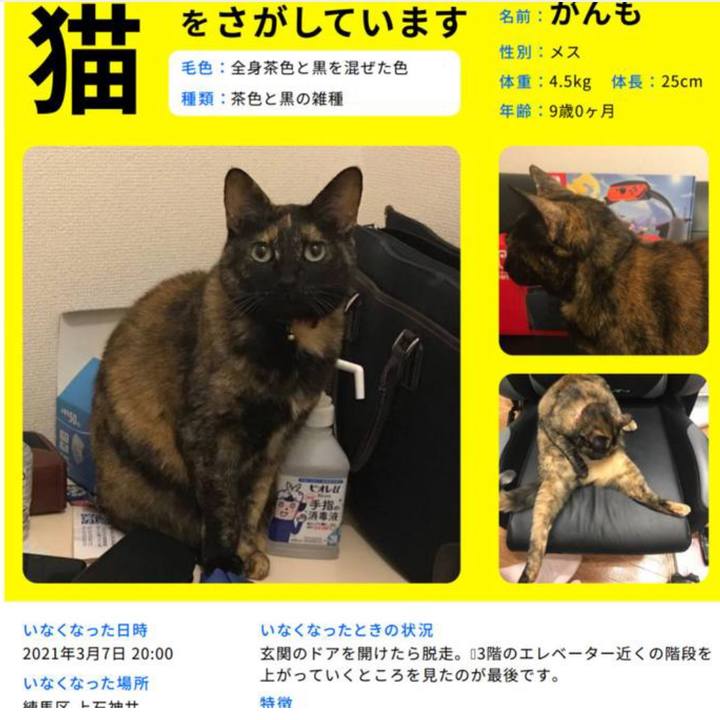 D9eb7204 5608 418b 8b2f e83b239f28a9 1615196756626