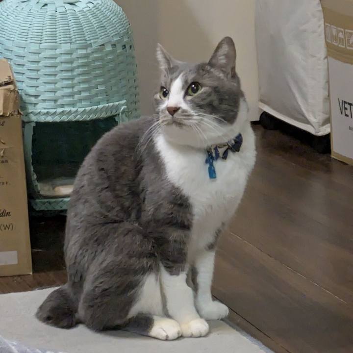 D9eb7f04 0d88 48b4 bec1 edb9bffd392c 1772977403081