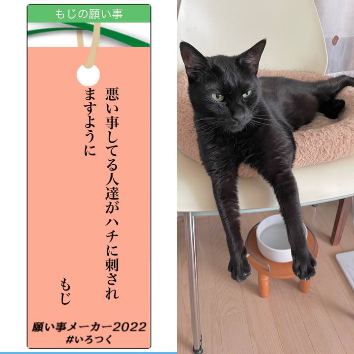 D9eb8bf0 0308 48fc 8c5e 5f010ba389ee 1657196886894