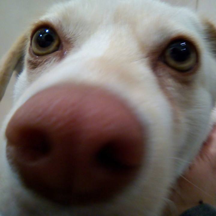 D9ebb549 4d9c 4ffb a15e c5d3c1b153b3 1518445212258