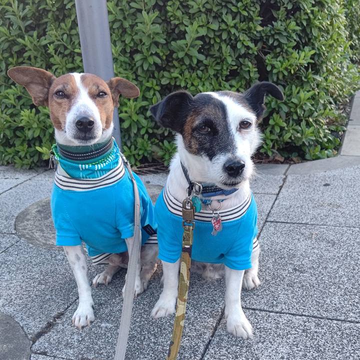 D9ebc430 bb64 44e8 857f c6c251d75fdd 1698621387929