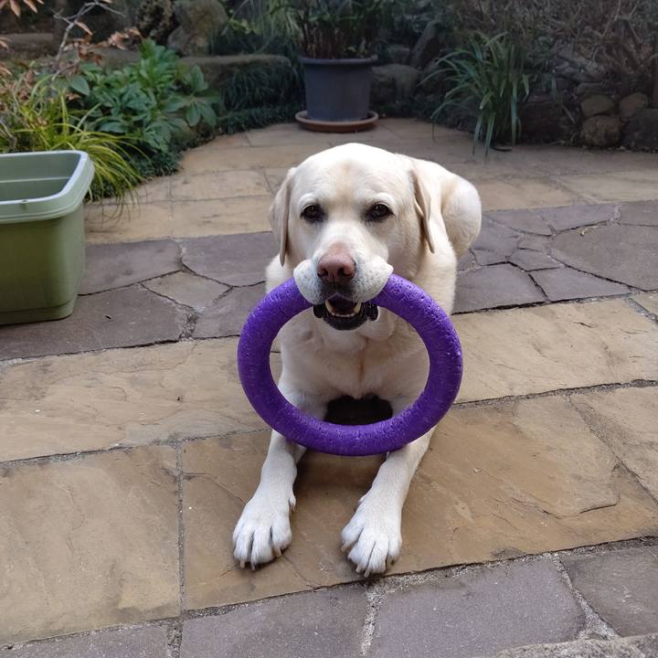 D9ebdc78 65a2 4bfb 8406 a0b31098ff10 1674271865960