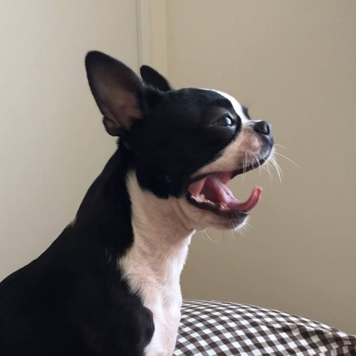 D9ec12e0 742d 467e a187 2586d2d8f388 1516367479705