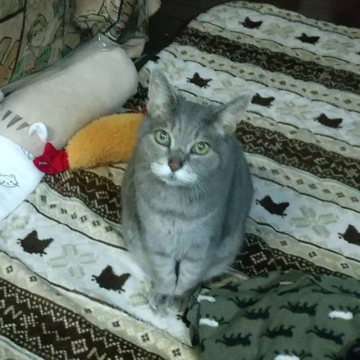 D9ec36f7 916e 4e16 9b55 6deff6d68dbf 1681728568774