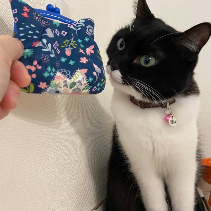 D9ec52b5 40a6 4868 bd10 6b2983ae270d 1645750573869