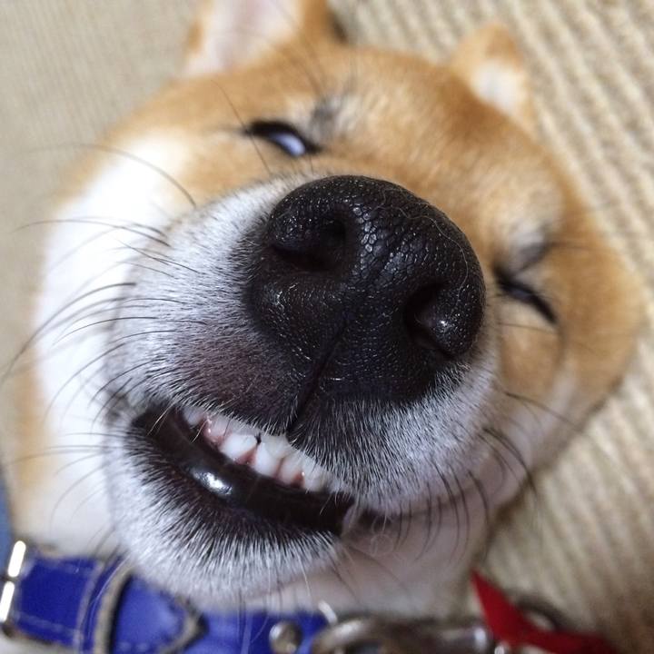 D9ec96d4 7e32 40fb 90f2 6015c4d9dd29 1524315214414