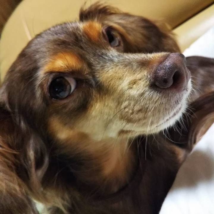 D9ec9caf 6030 4dbe 9d86 84de66a00e0a 1537876193939