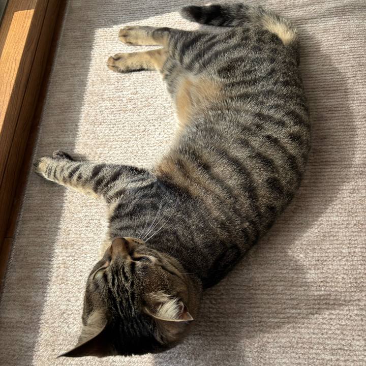 D9ecad17 2138 45d6 b7c0 53317daf41af 1769996879687