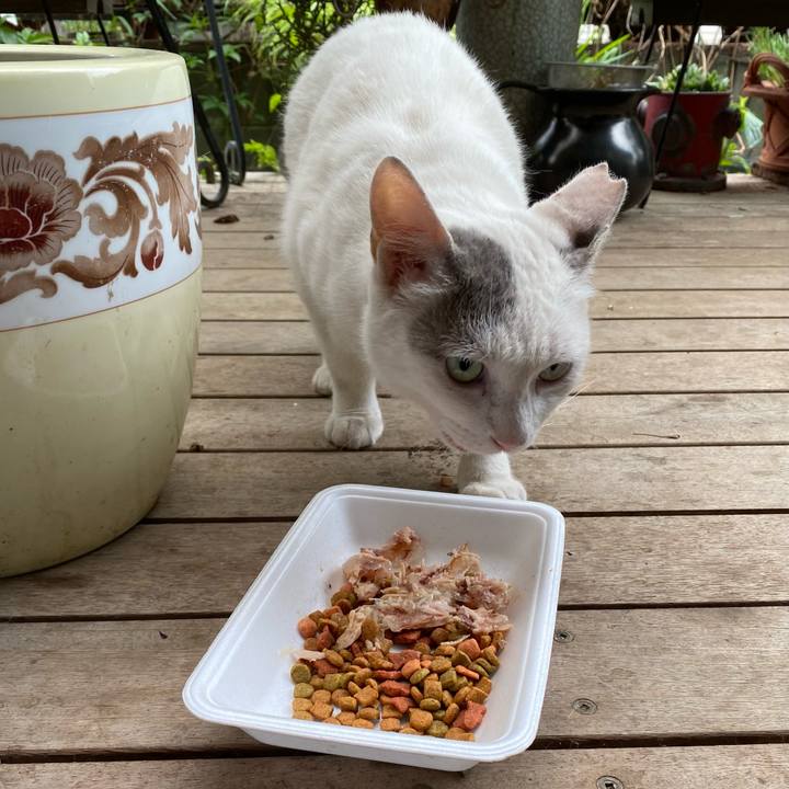 D9ecd6c7 806a 4230 903e f433798936d0 1658100406855