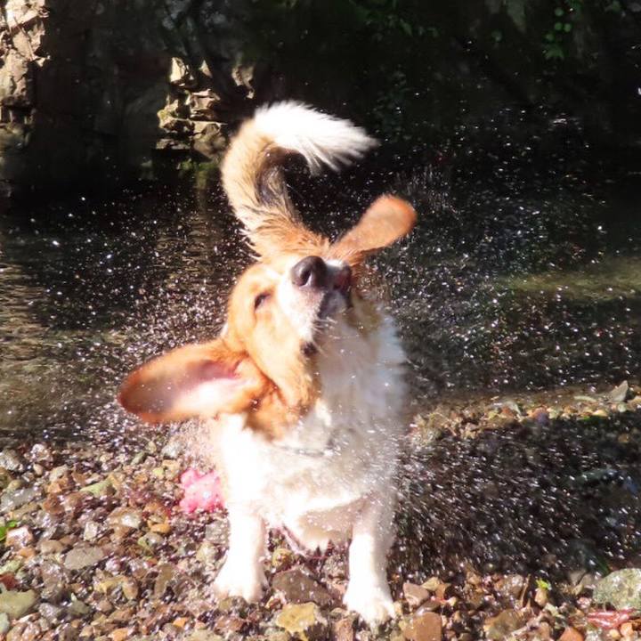 D9ecdb99 24c8 4f53 9198 58e54b7d8eba 1627037254599