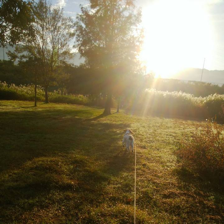 D9eceb60 c2e3 4c04 b2b1 b8218f0adbad 1541034475887