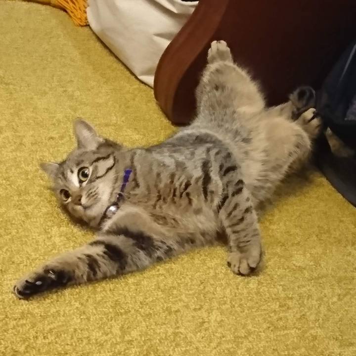 D9ed1730 93c4 416d 88a3 5b9a0875b1e4 1640774245942