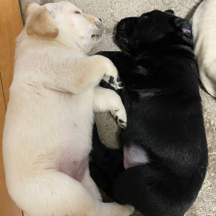 D9ed3d37 e03a 47a6 bc71 2b7e7eae8853 1612766758864