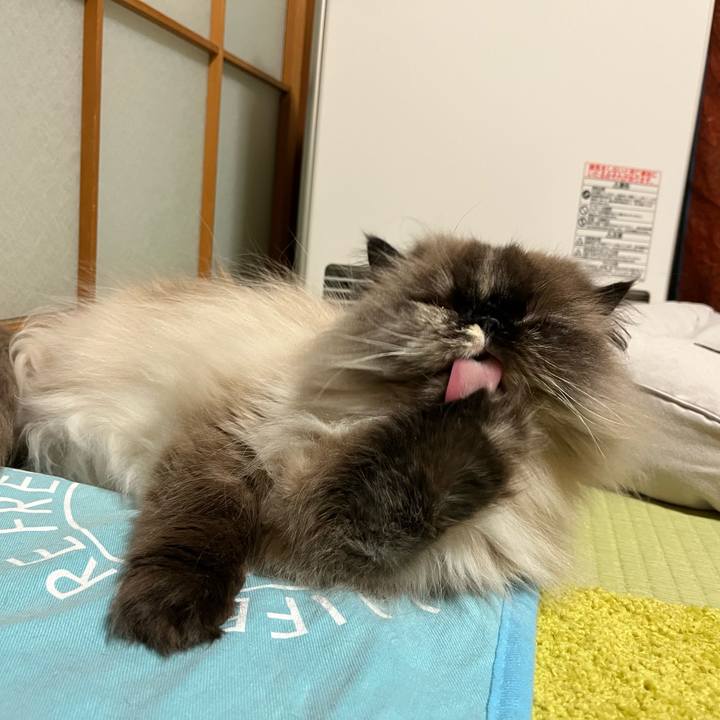 D9ed3d52 af0c 40f1 853e 9abce4a91b6a 1715861330542