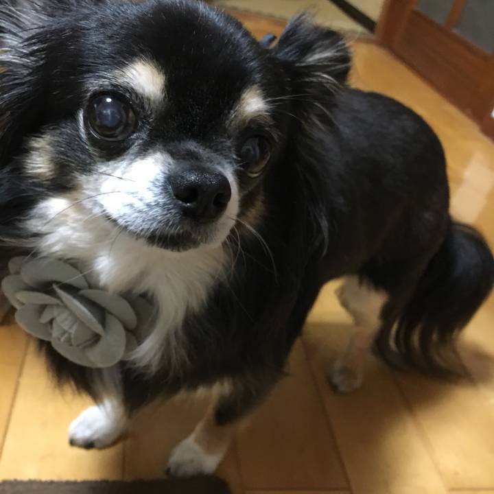 D9ed46dc a852 4409 883f 9ee8f487597b 1510352765238