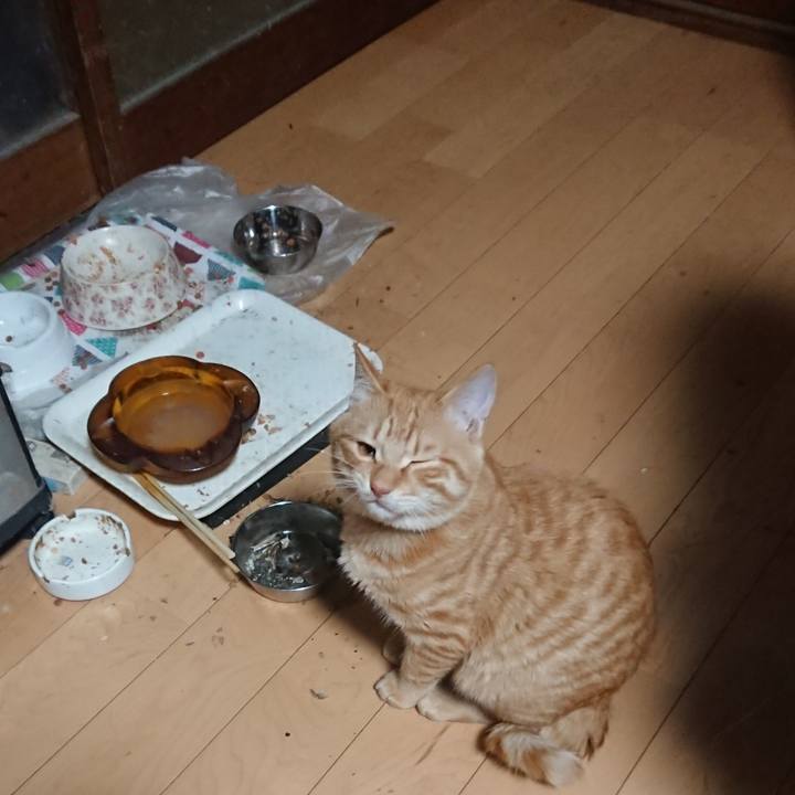 D9ed5676 91b0 4e0d aec7 cfa5ab70ff2b 1637786816691