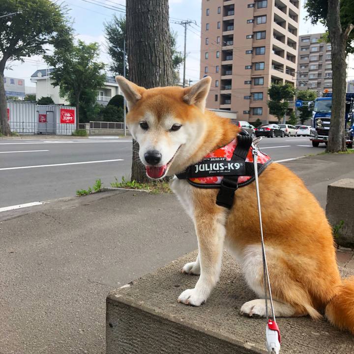 D9ed59f2 5885 4898 8b39 4964a7382673 1597798364087