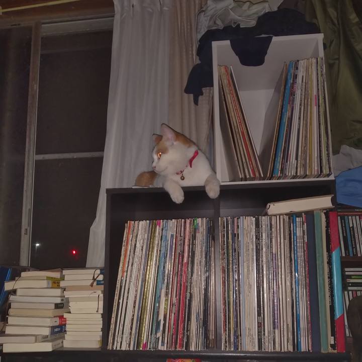 D9ed5c95 96ff 44fd 8e1b 33e230072675 1750542286149