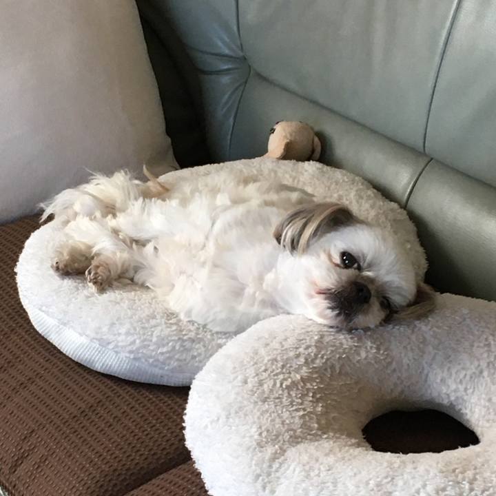 D9ed899e 49c1 4de0 ab6b 1bdbded40912 1618815580218