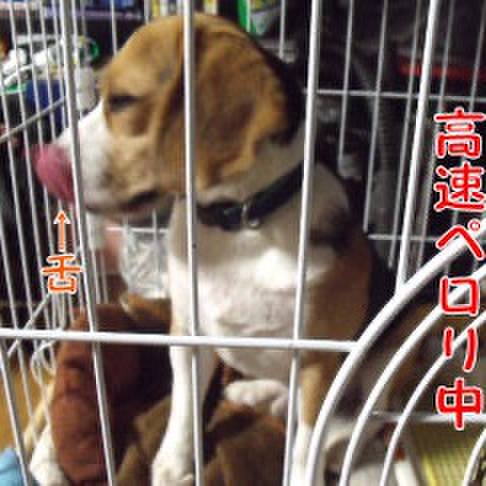 D9ed96e0 5fa0 4ebd ba3c 844e45cd1181 1717113259204