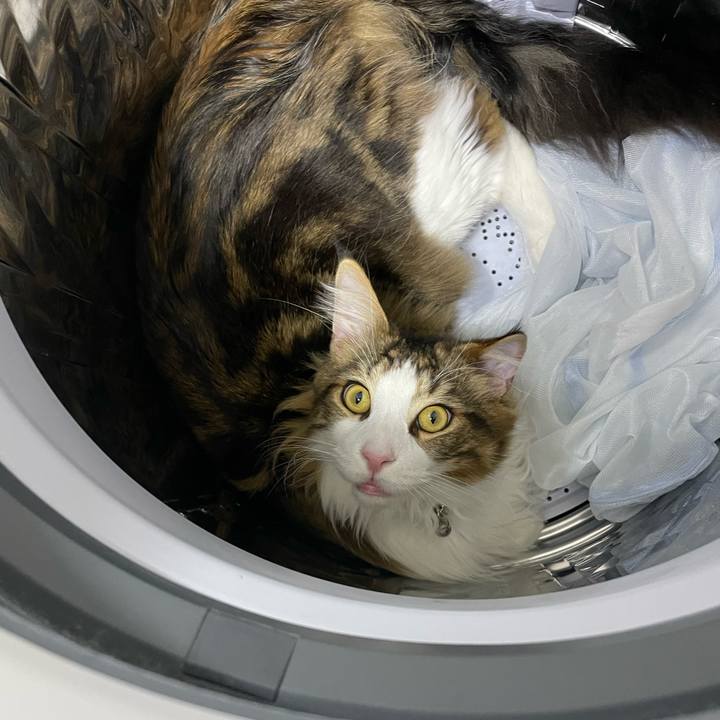 D9ed9bab 0104 4a9e b23f eb5a4fe5bd07 1651867620858