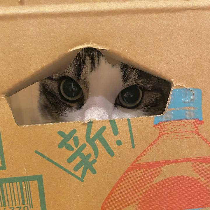 D9eda3fd c553 47bd 813e 4724cec02fc7 1657758290364