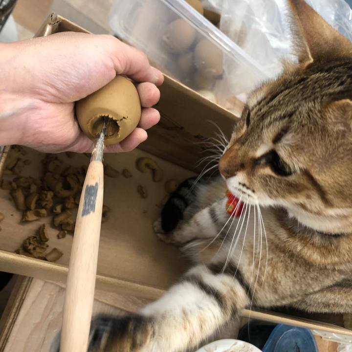 D9edc961 967c 4b0f aa51 2263aa7a78c6 1645698815187