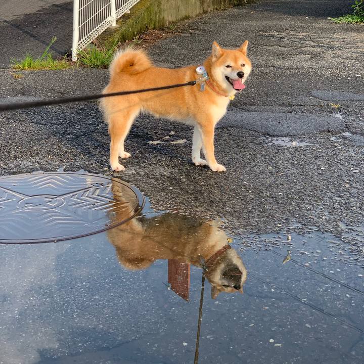 D9ee5c95 5e79 4e98 9650 5cf9c2bbf302 1563845789315