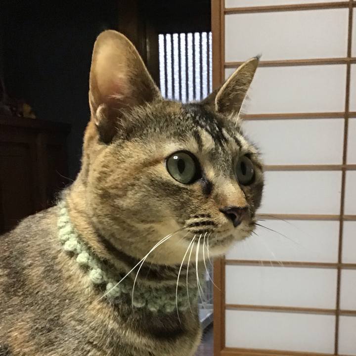 D9ee5d4d 45ba 481e 8684 a022161deb01 1646211135180