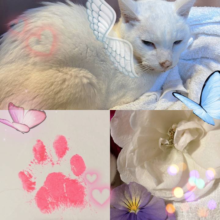 D9eecb16 db9e 47e2 89af 5efbbcc22243 1705446623983