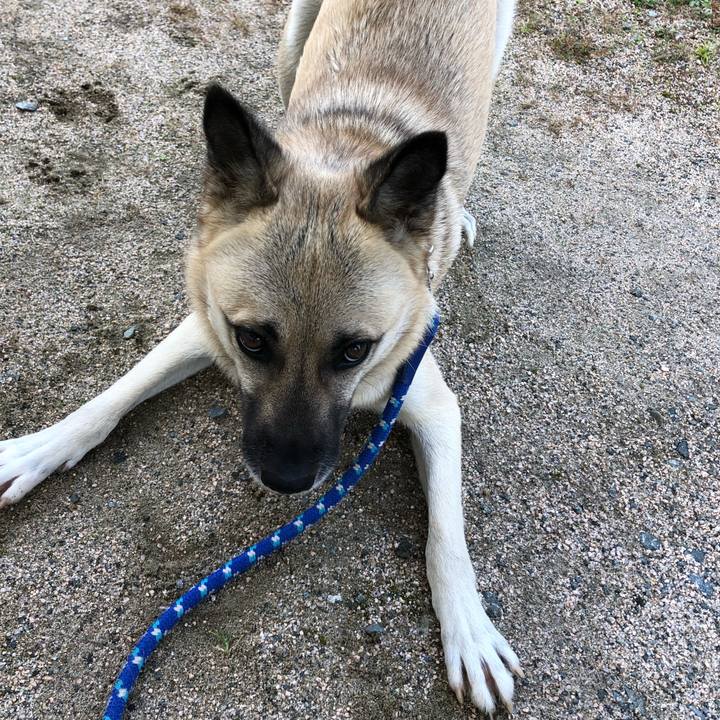 D9eedb30 e5ea 4135 b6ec 5e94c1e47fb2 1540448481956