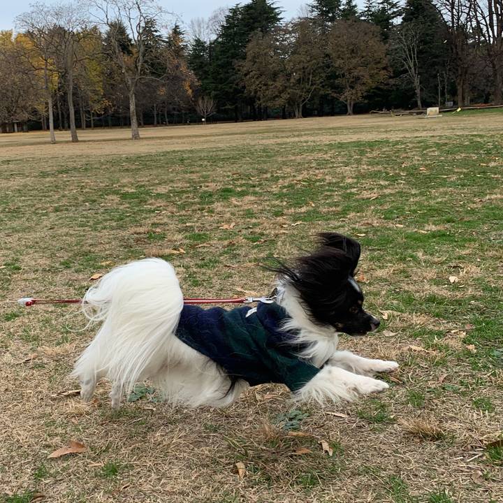 D9eefa98 ee41 4e58 a7fe 917cb3a36041 1544531986587