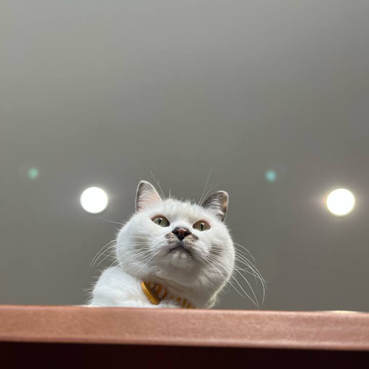 D9ef1ed4 4649 4548 949a 770ac3d7098f 1639102944178